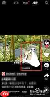 抖音放大功能怎么开启