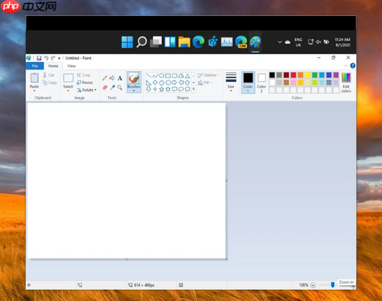 微软 Win11 全新画图、照片 App 视觉更新曝光，采用流畅设计