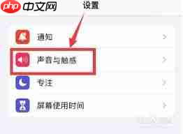 苹果如何关闭来电振动提醒
