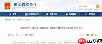 政府发放2025消费券如何领取