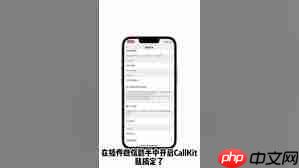 callkit如何开启