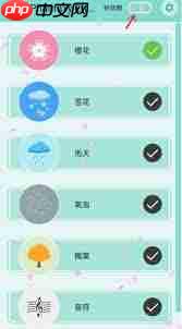 微信满屏樱花特效设置方法