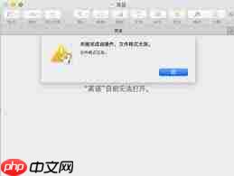 无法打开特殊文件格式怎么办