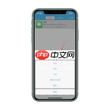 苹果手机如何开启微信CallKit功能