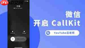 苹果手机如何开启微信CallKit功能