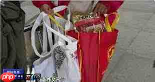 过年回家不抢票的方法