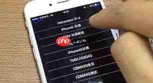 苹果有锁无锁是什么意思