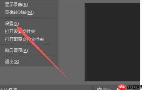 OBSStudio怎么启用录制文件时自动封装至MP4格式-OBSStudio启用录制文件时自动封装至MP4格式的方法