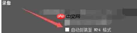 OBSStudio怎么启用录制文件时自动封装至MP4格式-OBSStudio启用录制文件时自动封装至MP4格式的方法