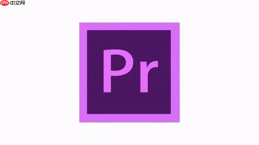 Premiere如何做字幕动画？如何使用Premiere制作动态字幕详细教程-小浪学习网