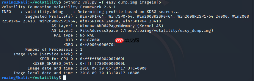 2018 护网杯 easy_dump题目复现
