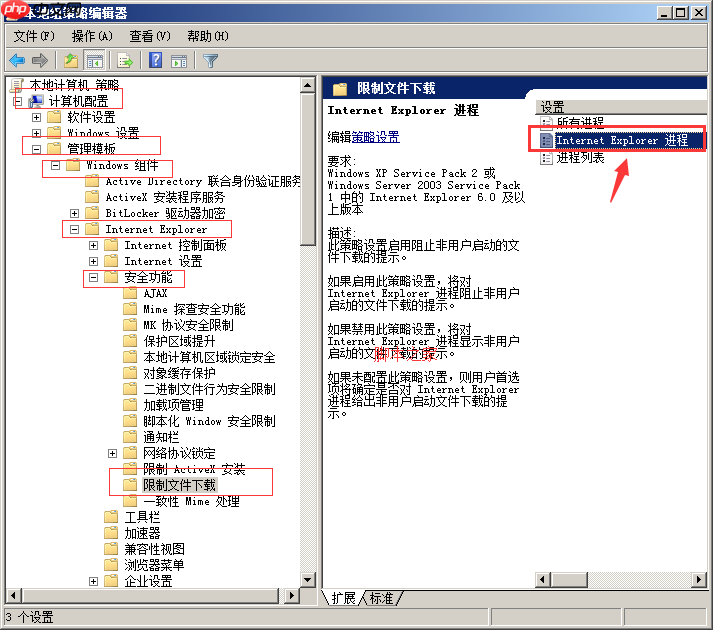windows server 2008如何阻止恶意插件程序下载安装到系统中？