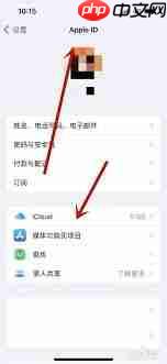 苹果手机云端照片查阅步骤详解