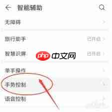 华为抬起亮屏如何关闭