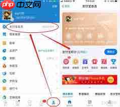 为什么支付宝积分攒不够