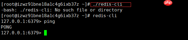 客户端快速启动redis
