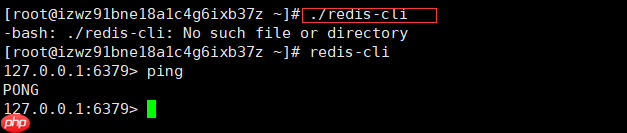 客戶端快速啟動(dòng)redis