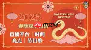 2025央视元宵晚会节目单公布了吗