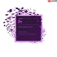 Premiere如何导出设置？如何使用Premiere优化导出参数详细教程