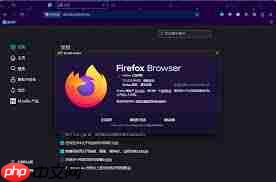 火狐浏览器无法正常使用怎么办