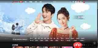 高清电视剧在B站免费观看 - php中文网