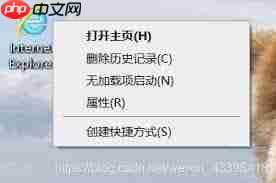 Win10桌面IE图标消失怎么办
