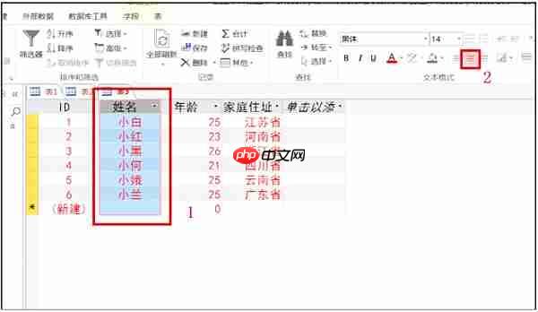 access2013怎么更改字体？access2013更改字体的操作步骤