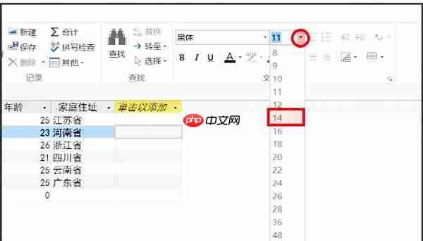 access2013怎么更改字体？access2013更改字体的操作步骤