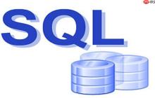 如何对用户输入进行过滤和验证以防止SQL注入