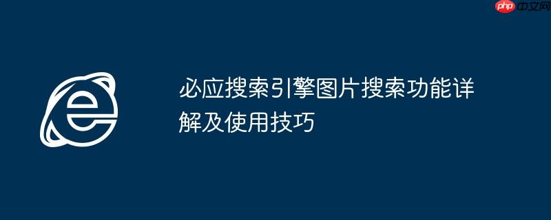 必应搜索引擎图片搜索功能详解及使用技巧