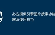 必应搜索引擎图片搜索功能详解及使用技巧