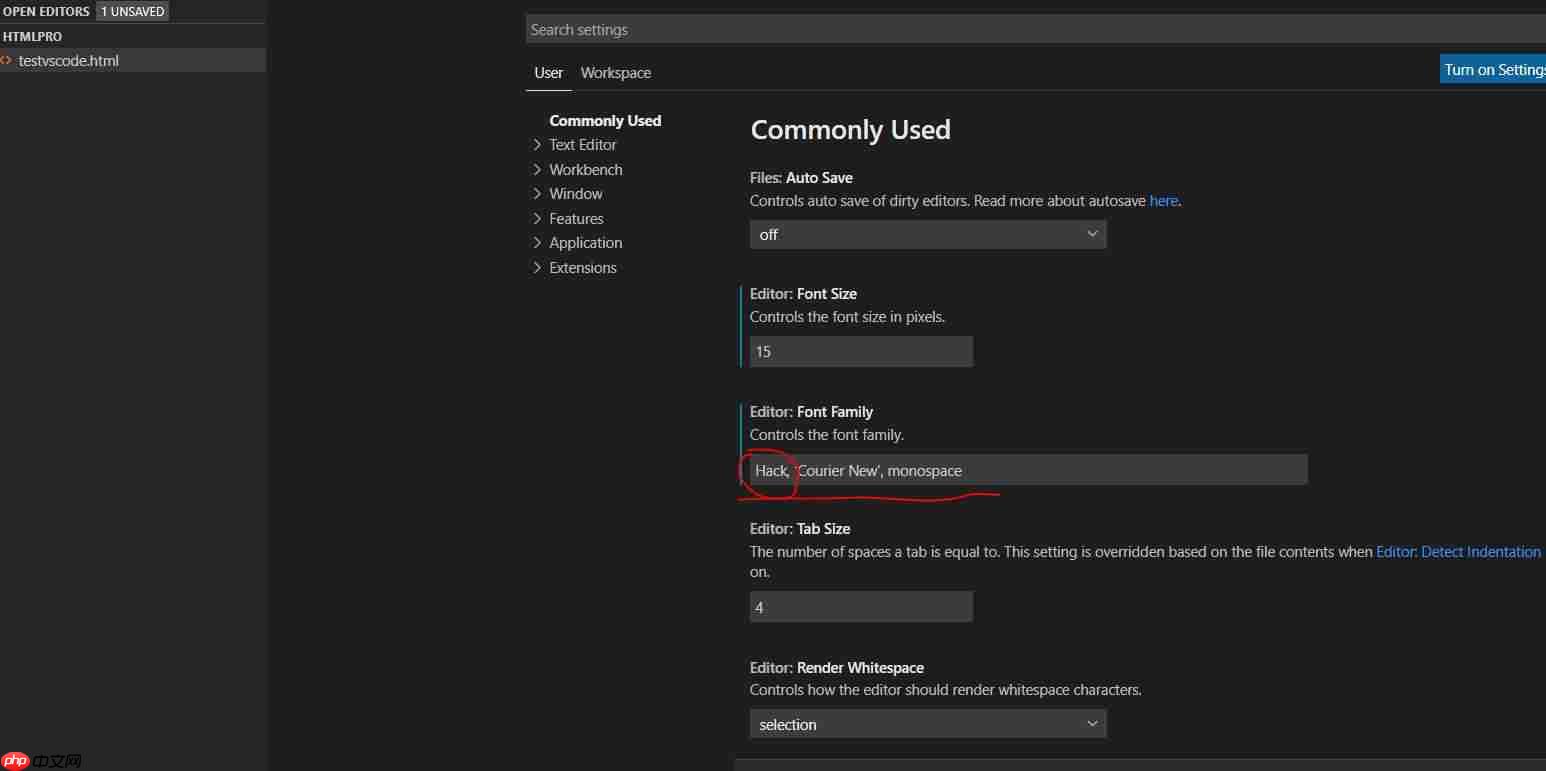 vscode设置字体大小和字体_vscode snippet