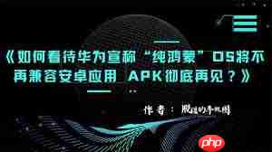 纯血鸿蒙系统支持安装APK吗