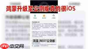 纯血鸿蒙系统支持安装APK吗