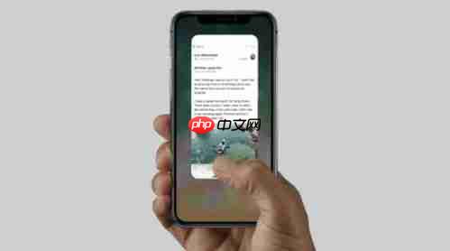 iPhone15如何设置Action按钮翻译