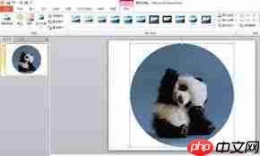 如何在PPT中将图片设置为圆形