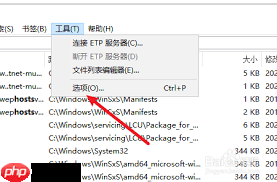 Everything如何设置高亮光标经过的行