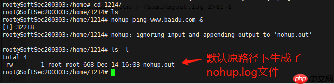 Java岗大厂面试百日冲刺 - 日积月累，每日三题【Day21】—— Linux命令