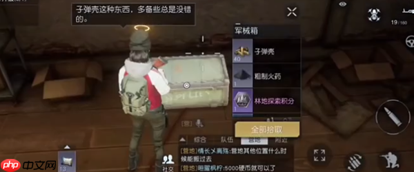 黎明觉醒湖畔镇宝箱位置