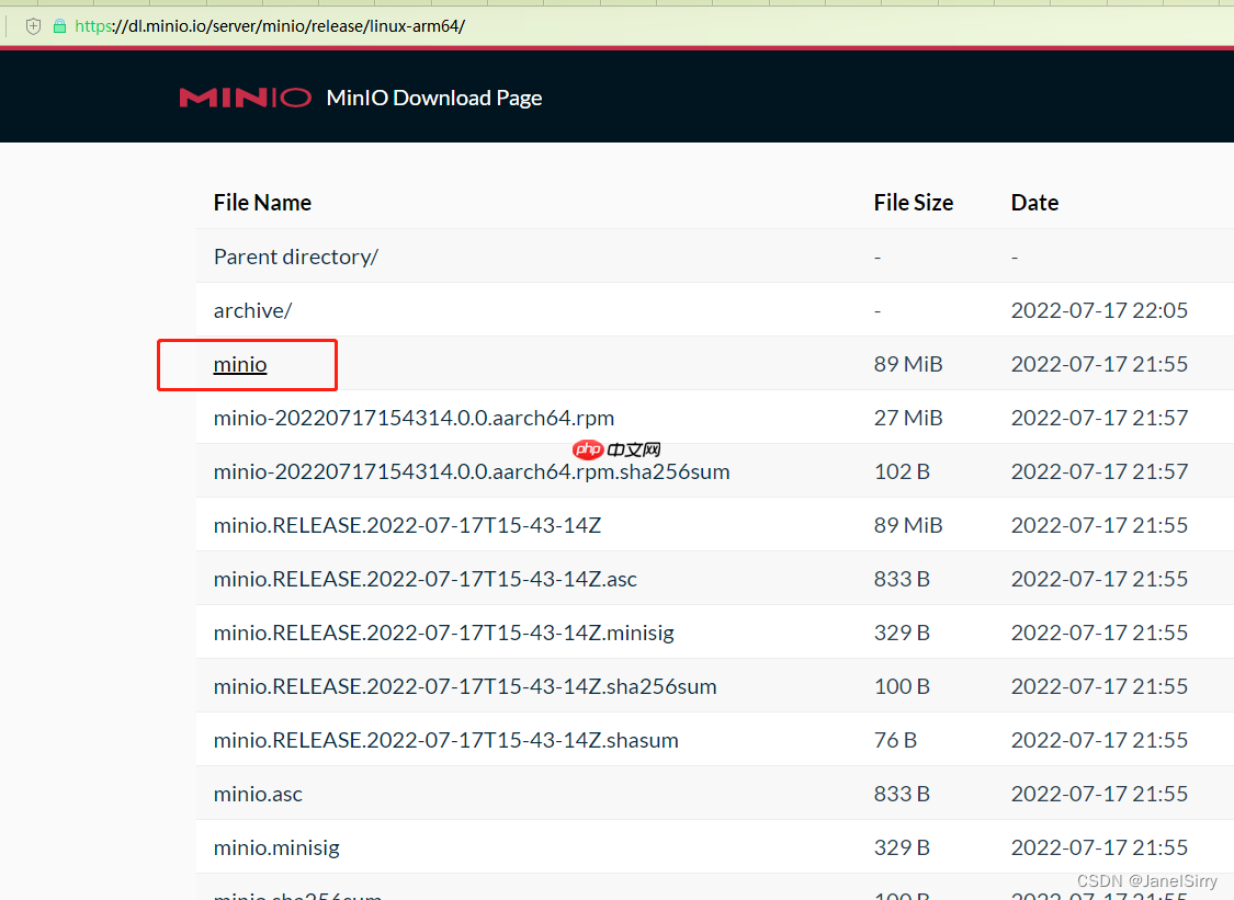 鲲鹏arm64 centos7下官方二进制文件带证书https安装minio X509等问题解决实践