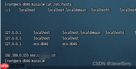 鲲鹏arm64 centos7下官方二进制文件带证书https安装minio X509等问题解决实践