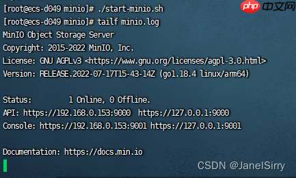 鲲鹏arm64 centos7下官方二进制文件带证书https安装minio X509等问题解决实践