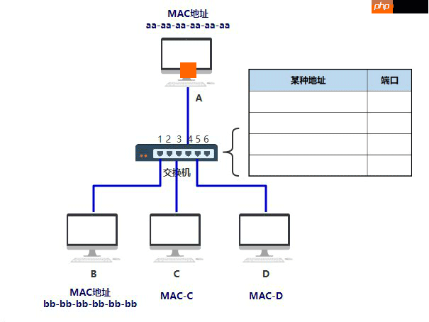 在追求底层内功技术路上，飞哥并不孤单！
