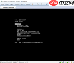 虚拟机无法进入XP系统