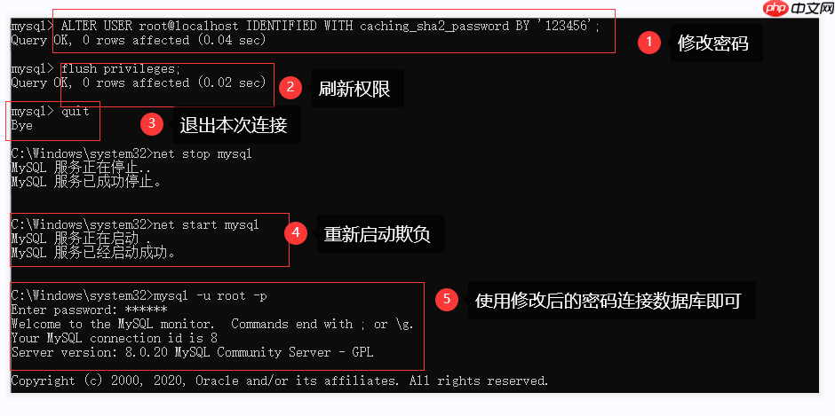 忘记密码!如何登陆到数据库?