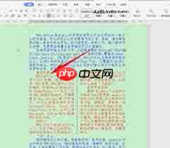 WPS文字如何设置分栏