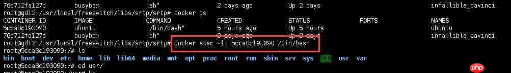 docker容器的启动(docker容器启动时间)