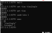 《redis in action》redis事务