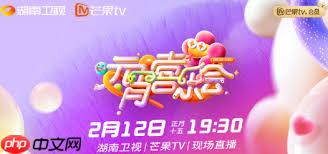 湖南卫视芒果台2025元宵晚会观看渠道