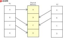 操作系统：Linux虚拟内存知识介绍